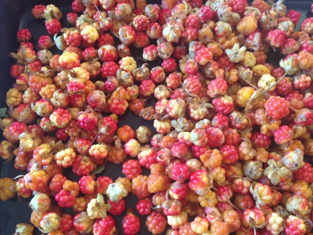 A collection of red and yellow cloudberries on a table