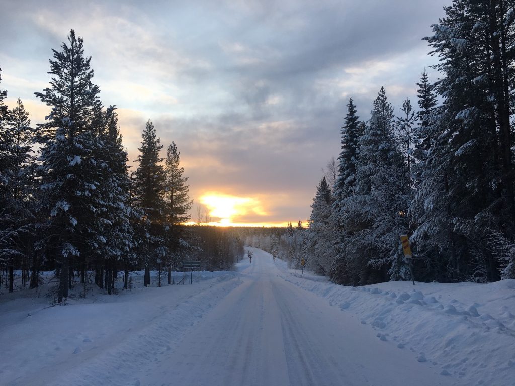 A snow-covered path and trees in Swedish Lapland