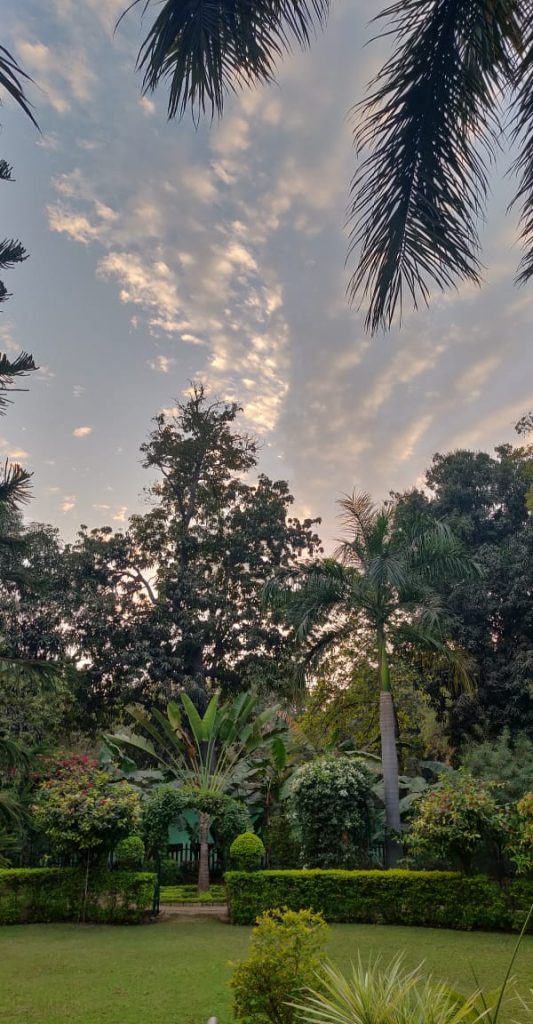 A park with green grass, a variety of trees, and a clear sky in Mumbai, India